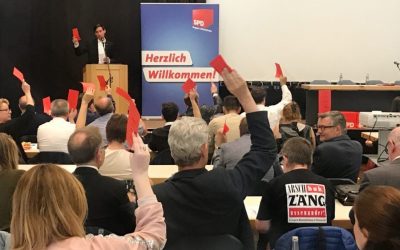 Michaela Engelmeier als stellvertretende Vorsitzende der SPD Region Mittelrhein bestätigt!